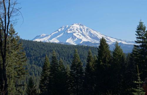 13 Mi to Mt Shasta Log Home on 60 Acres! - Foto 28
