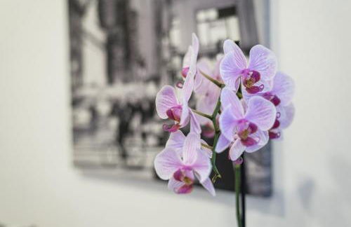 GuestReady - Never Say Never - Foto 11