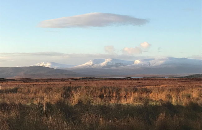 Garvault House - Photo 23