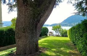 Una magnolia in Cademartori - Foto 35