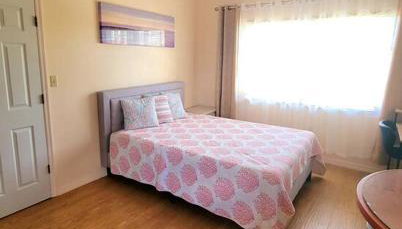 Comfy studio in Sarasota - Foto 5