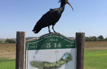 Villa Betty - Foto 42