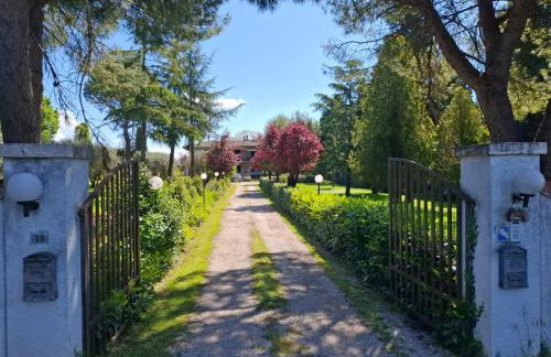 L'Olivo , in Tuscany - Photo 15