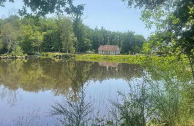 La Sauvagine - Foto 19