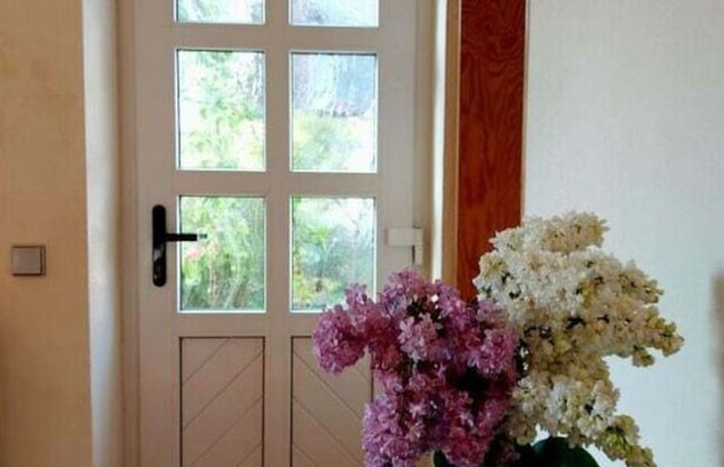 Zonnehof in het Geiseltal - Foto 23