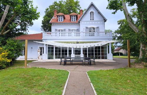 Grandiflora - Foto 27