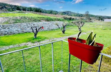 Quinta Vale da Prata - Foto 21