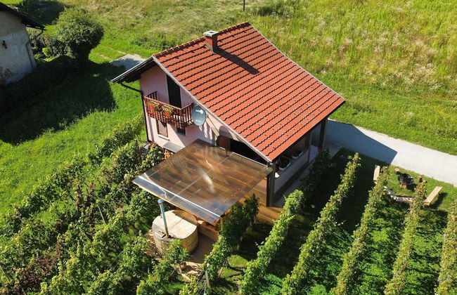 Holiday Home Vesna with Sauna - Foto 33