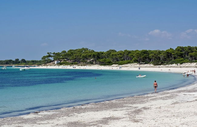 Aparthotel Isla de Cabrera - Photo 48