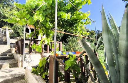 Stella Maris - Family Apartment - Photo 9