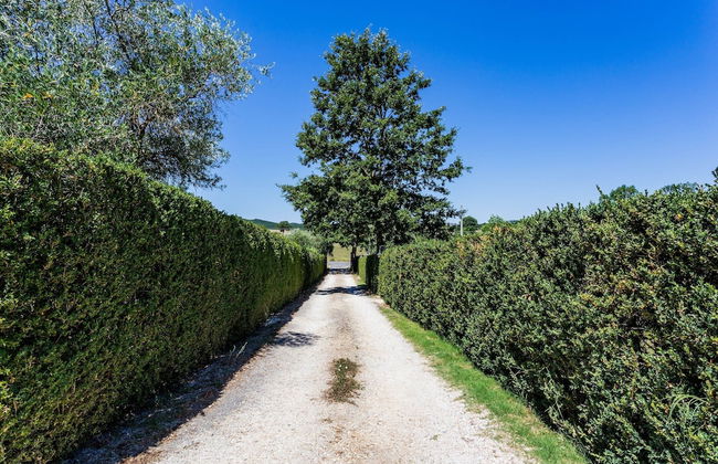 Tuscan Countryside Stay - Foto 2