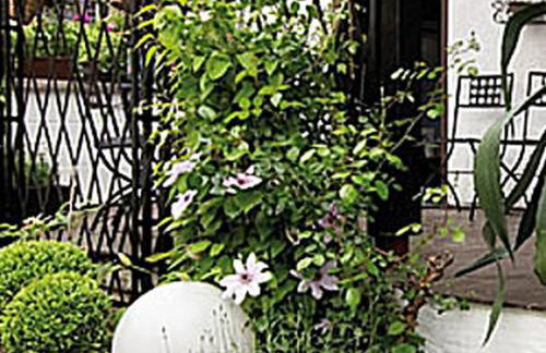 Ferienwohnung Dora Brand - Photo 13