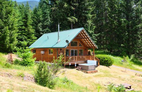 Mountain View Cabin, Hot Tub at White Pass Resort, Mt Rainier - Foto 1