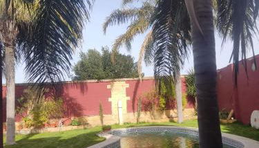 Apartamentos las palmeras - Photo 4