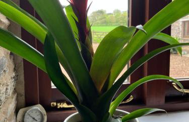 The parlour - Foto 24