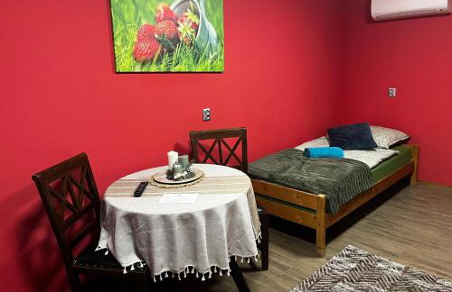 Agroturystyka Mirabelkowe Zacisze - Foto 69