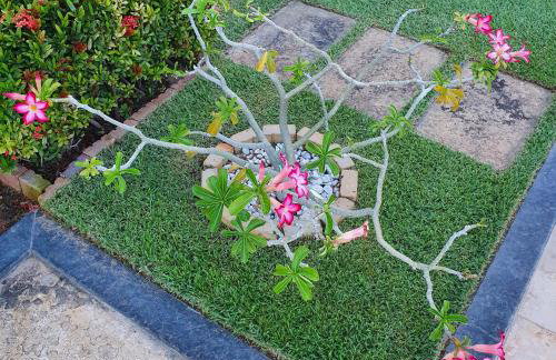 Casa na Praia de Águas Belas - Caponga - Foto 49