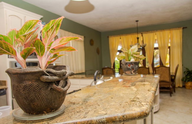 Beach Front White Sand Villa - Foto 76