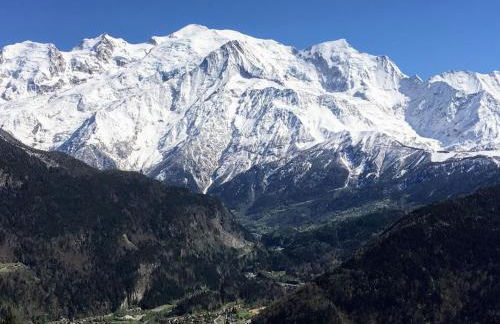 Fizhome Mt Blanc - Photo 9