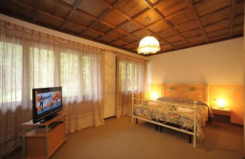 Residence Regina Delle Dolomiti - Foto 29