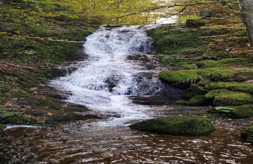 Ventron Chalet with Hill Views - Foto 29