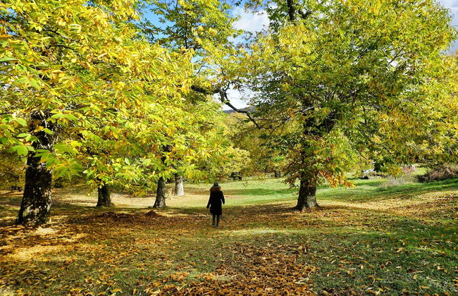 Agriturismo Bio I Rondinelli - Foto 41