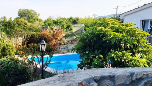 Villa Rossi - Photo 3, Garden view