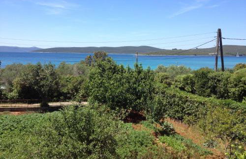 Apartments by the sea Muline, Ugljan - 12533 - Foto 6