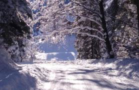 Mogielicki Zakątek - Photo 28