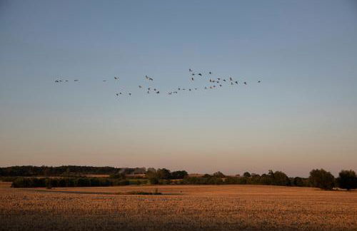 Naturnahes, neu möbl.Apartment, hundefreundlich - Foto 18