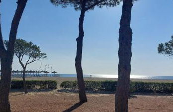 Sur la plage, super studio avec vue sur la mer - Photo 13