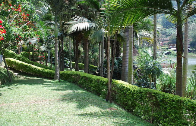 Crater Bay Cottages - Photo 75