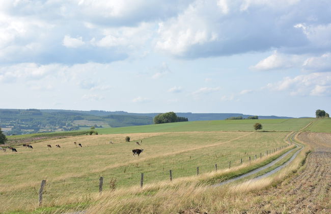 Vintage Holiday Home in Couvin near River - Foto 29