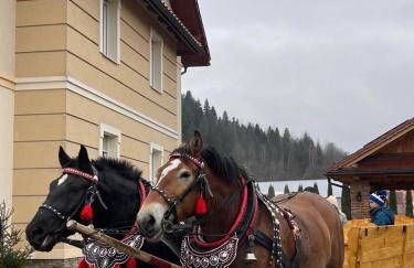 Apartamenty Agroturystyczne Papiernia Grill, Sauna & Jacuzzi - Foto 7