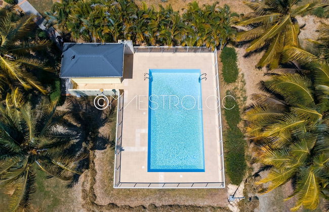 Cocon Dumyse, proche du Jardin botanique - Foto 1