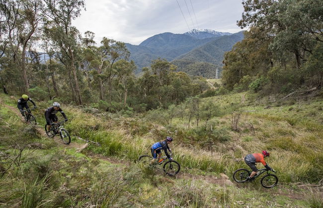 Northbank House - Photo 28