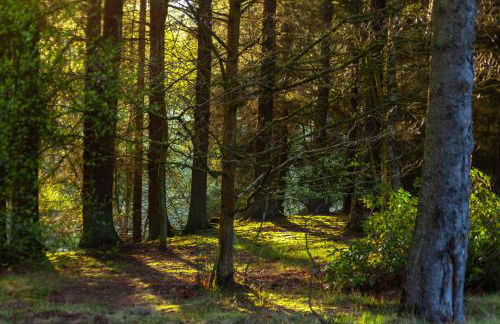 Settlers Lodge - Foto 13