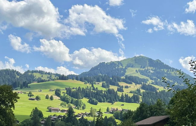 Akelei (gross) - Photo 14