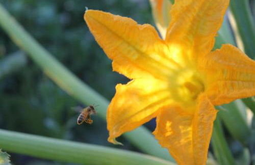 Casa Vacanze Borgo Borghese - Foto 43