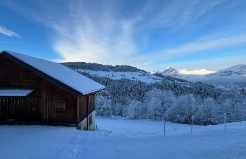 Charmant Mazot Savoyard avec WIFI et Animaux Acceptés - FR-1-505-217 - Foto 5
