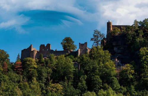 Erholen im Tiny House am Waldrand - Foto 17