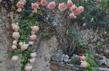 Gîte 5 "LE LAURUS" aux Magnolias - Foto 28