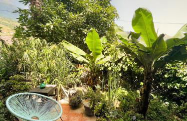 Casa Papaya 2, La Palma - Foto 25