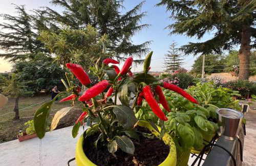 Casa Primula - Family Country House immersa nel verde a 5 min dal Mare - Foto 11