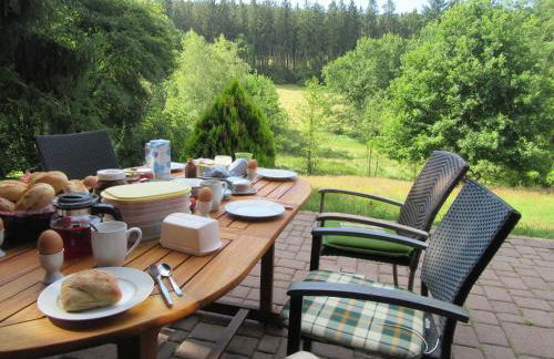 Ferienwohnungen Nibelungenwald - Foto 13