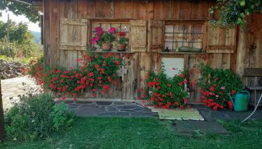 Maso Pinterato - Foto 2, Garden