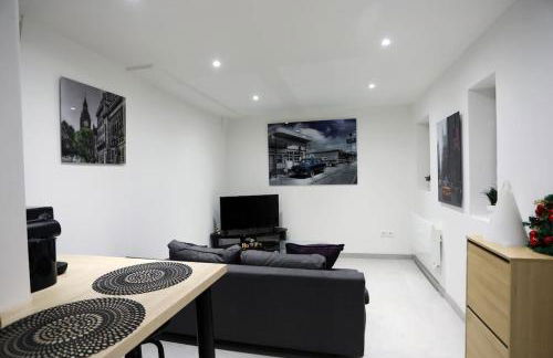 Duplex with private outdoor spa close to Strasbourg city center - Foto 3