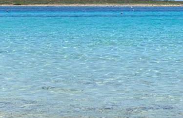 Luxury Home I LENTISCHI - Foto 58