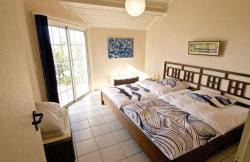 Lobo do Mar - Photo 6