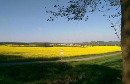 Ferienhaus Struckmann am Meer - Foto 4